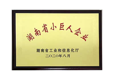 湖南省小巨人企業(yè)