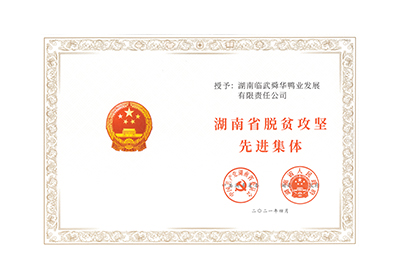 湖南省脫貧攻堅(jiān)先進(jìn)集體