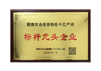 千億產(chǎn)業(yè)標(biāo)桿龍頭企業(yè)