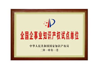 全國知識(shí)產(chǎn)權(quán)試點(diǎn)單位
